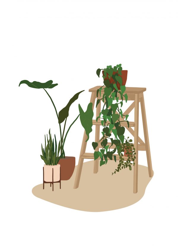 Πόστερ/πίνακας “Stool with plants”
