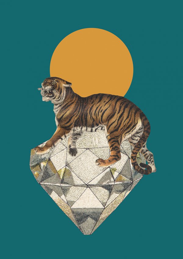 Πόστερ/πίνακας “Diamond tiger”