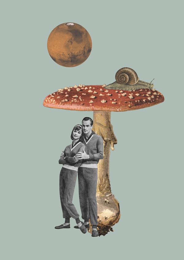 Πόστερ/πίνακας “Romance under a mushroom”